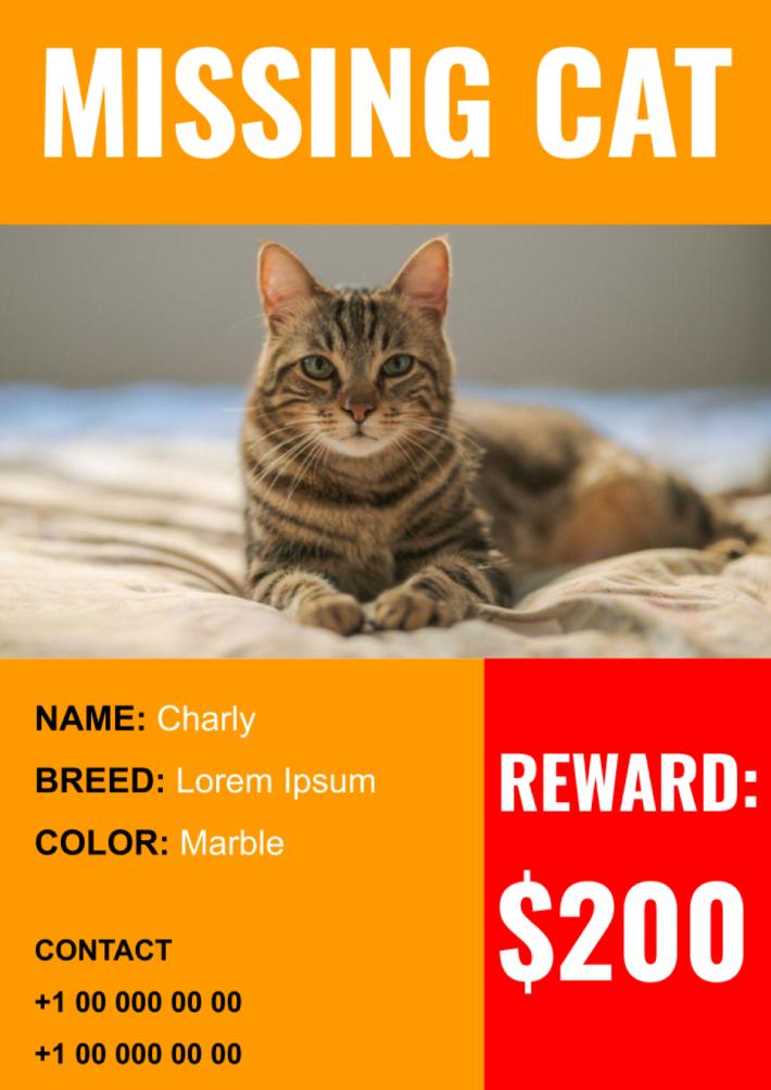 monochromatic-missing-cat-poster-template