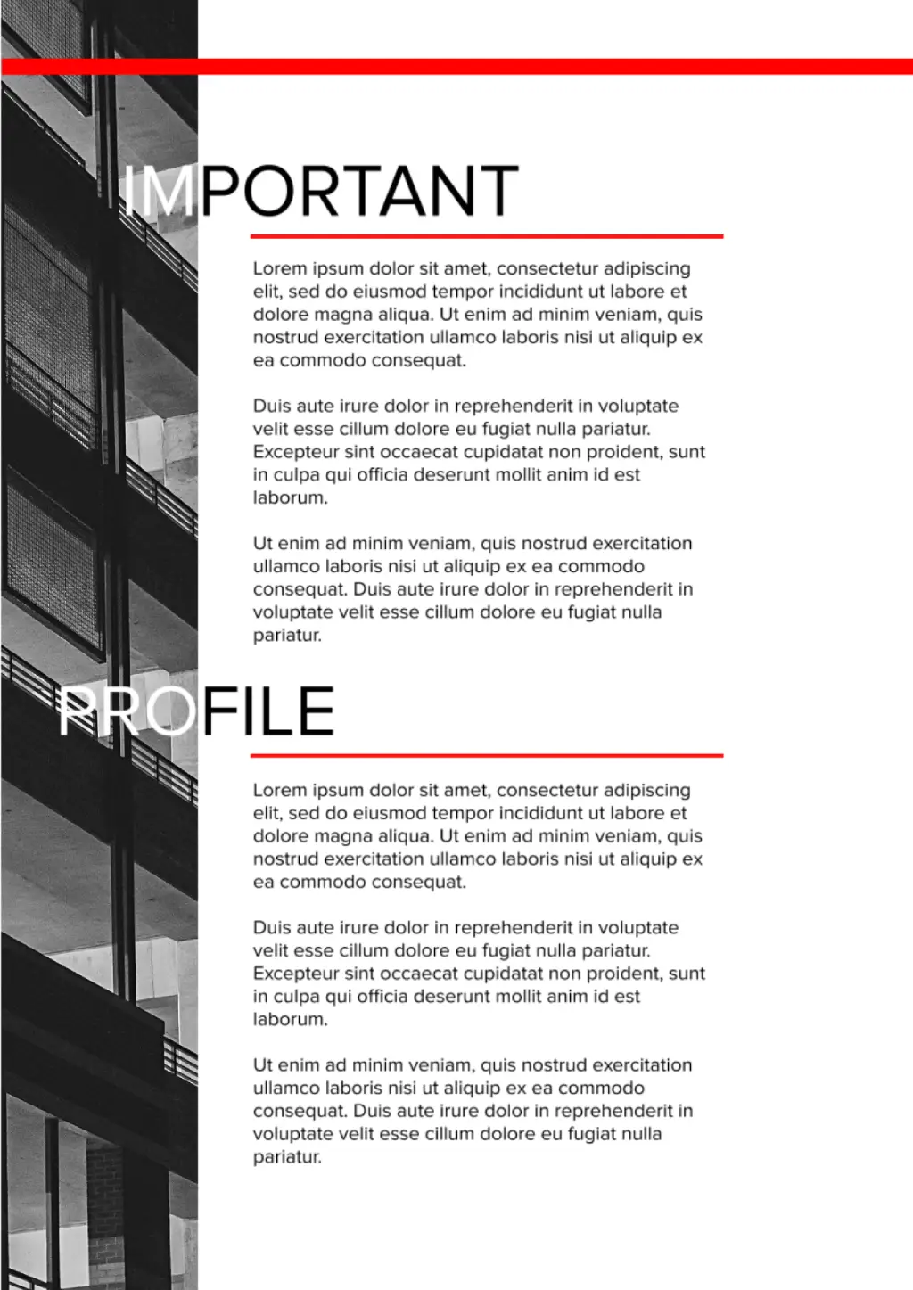 Report Template page 2 for Google Docs