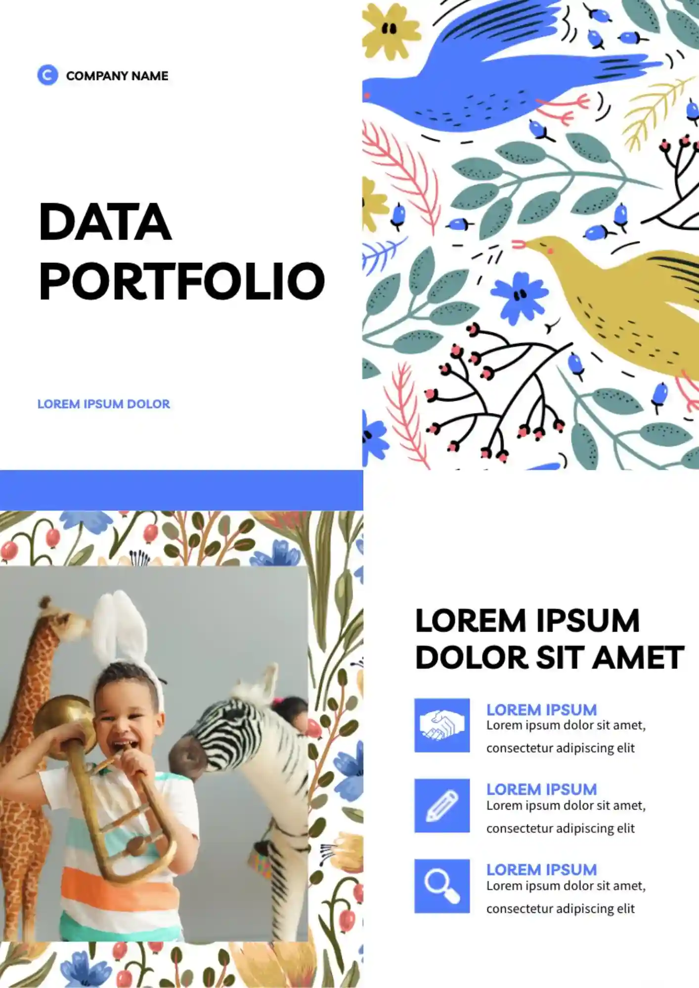 Data Portfolio Template