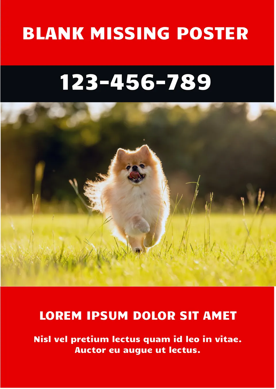 Blank Missing Poster Blank Missing Poster