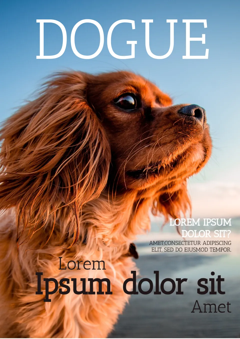 Dogue magazine