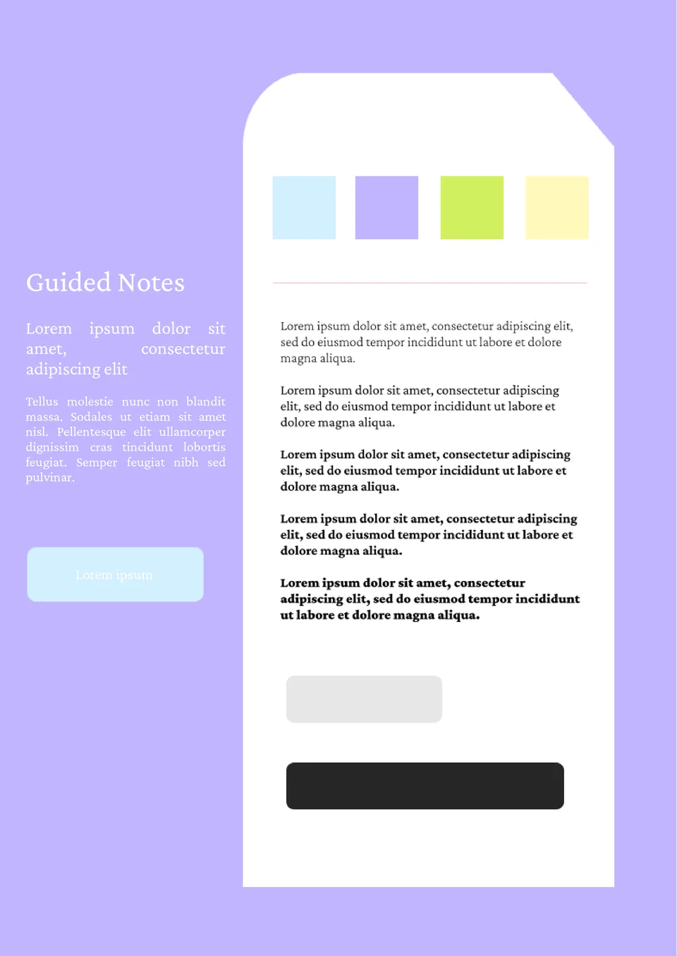 Guided Notes Template