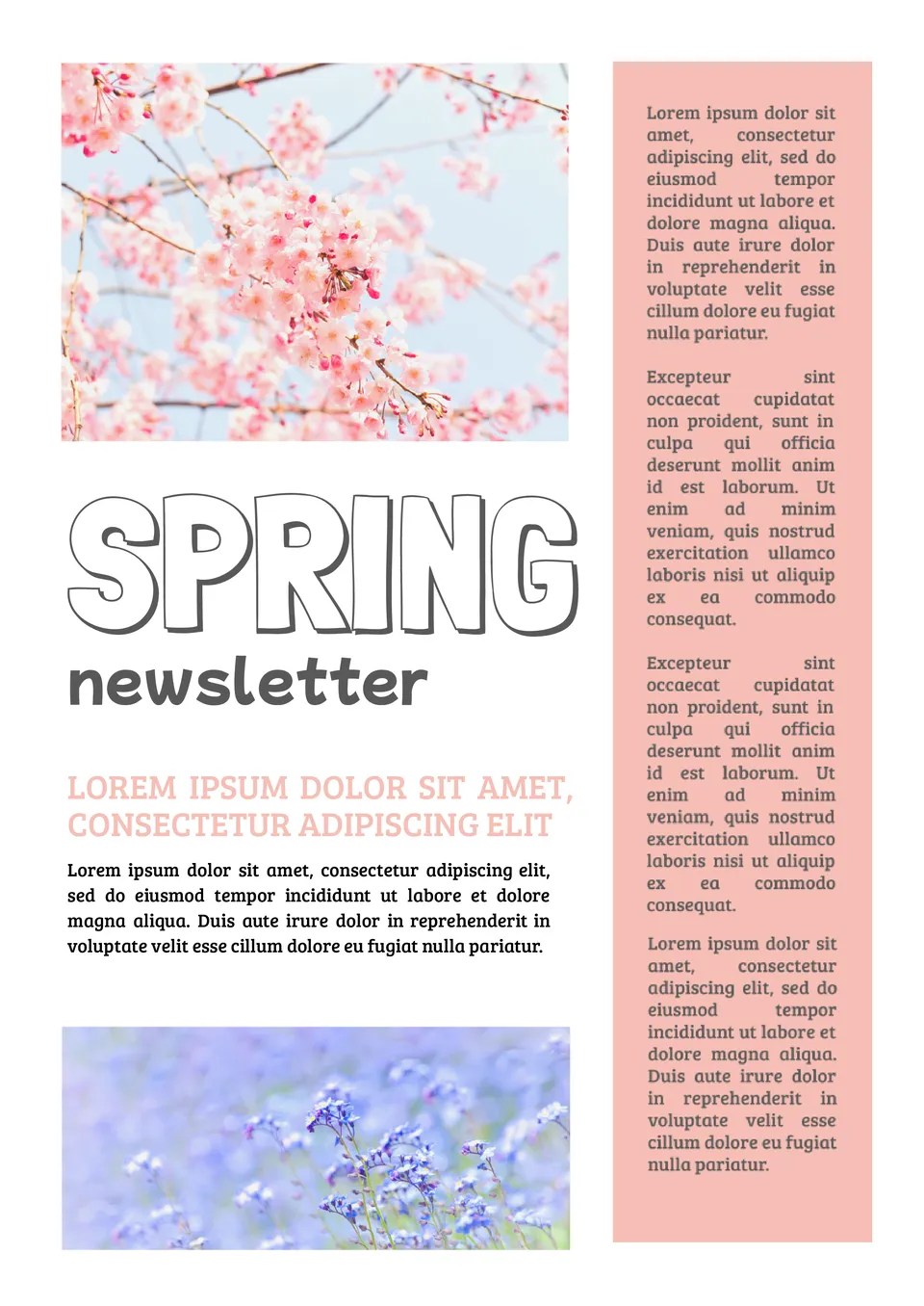 Spring Newsletter Template