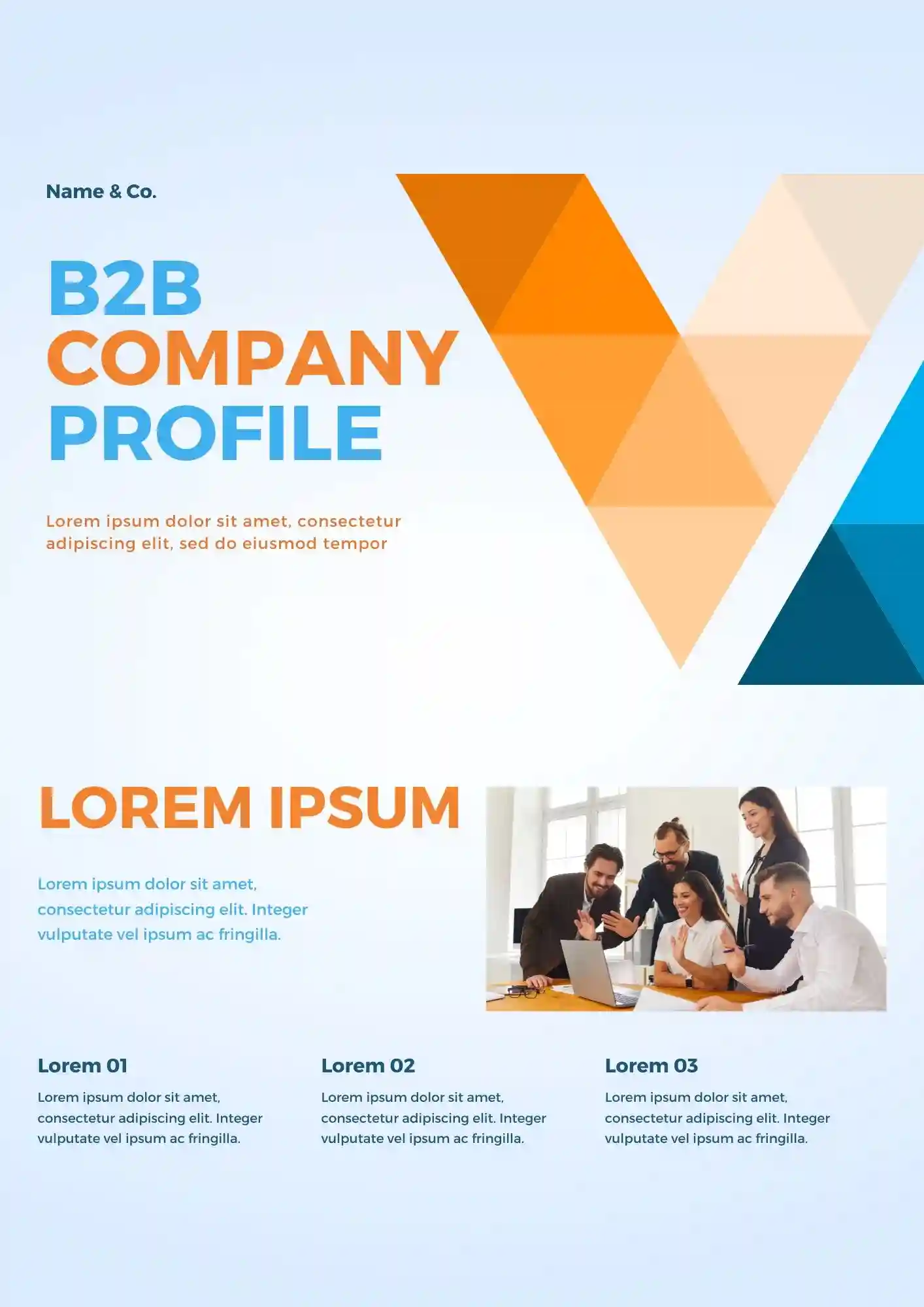 B2B Company Profile Template