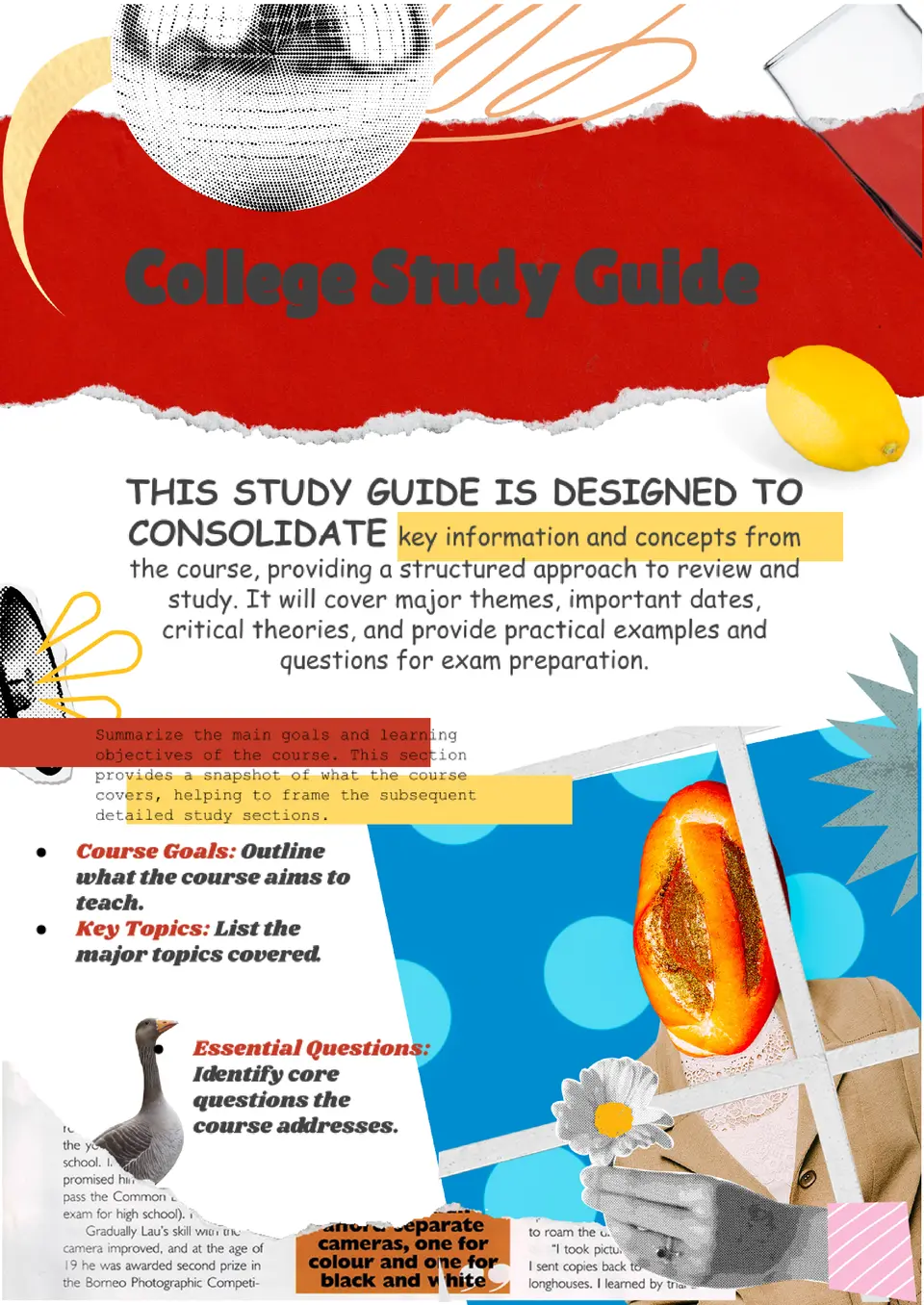 College Study Guide Template