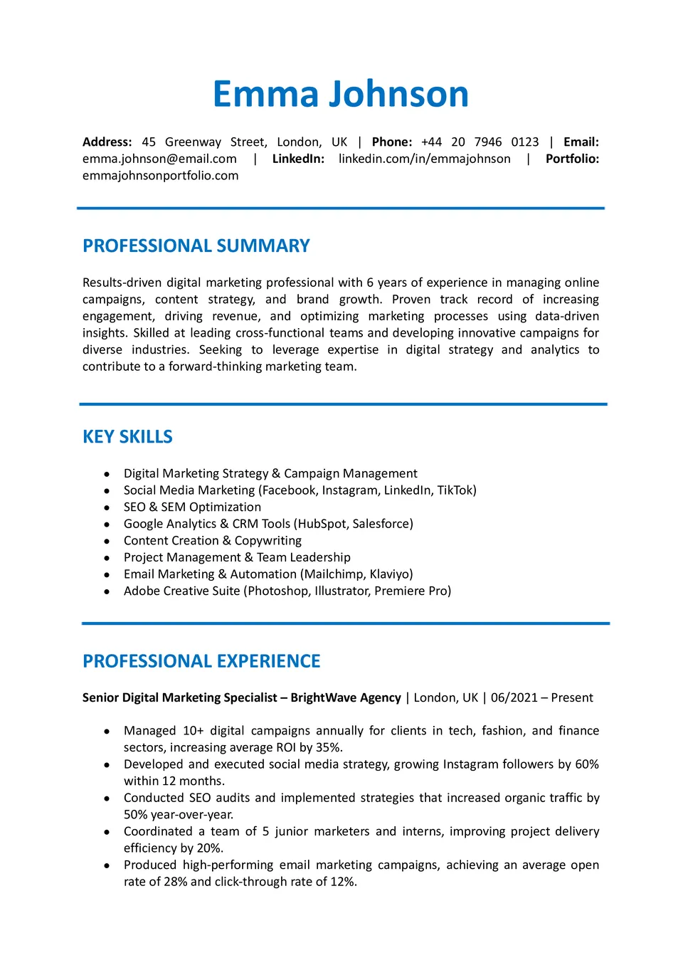 Job CV Template